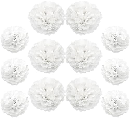 Ruidee 12 Pieces Tissue Pompoms 10in and 12in Hanging Decorations