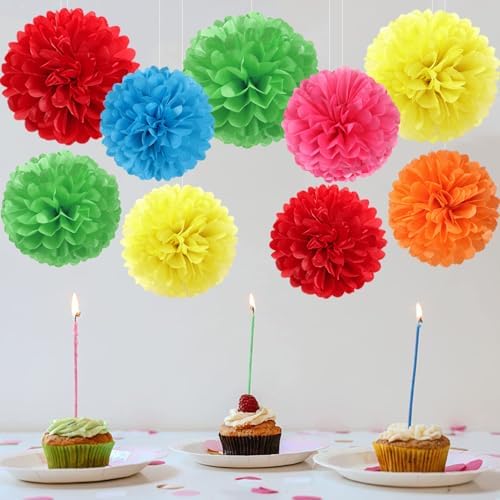 Rainbow Paper Flowers Tissue Pom Poms 15pcs Party Decorations
