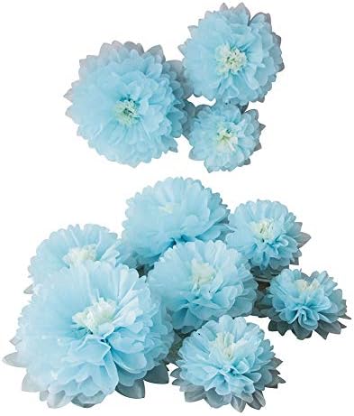 Mybbshower 9pcs Mixed Tissue Paper Pom Poms Decorations