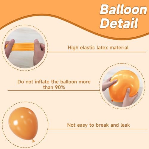 Boho Daisy Balloons 12 Inch Party Decor Set