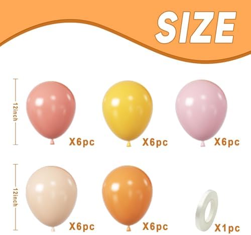 Boho Daisy Balloons 12 Inch Party Decor Set