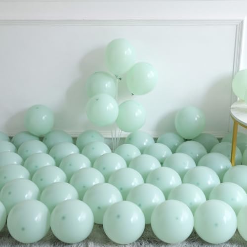 161pcs Spring Tea Party Balloon Arch Kit