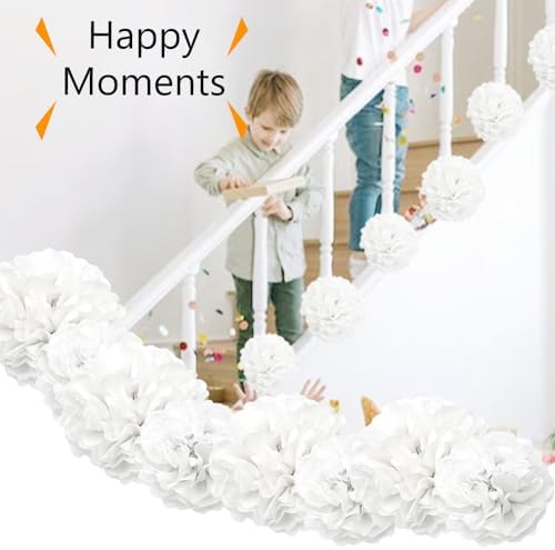 Ruidee 12 Pieces Tissue Pompoms 10in and 12in Hanging Decorations