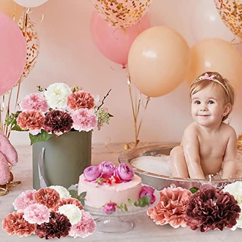 24 Pcs Tissue Paper Pom Poms Flowers Decorations