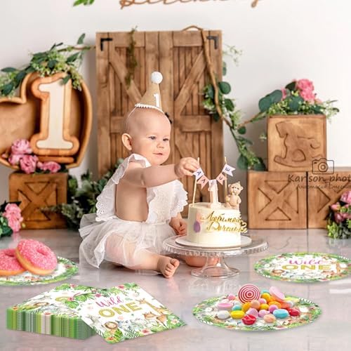 48Pcs Wild One Party Supplies for 16 Guests