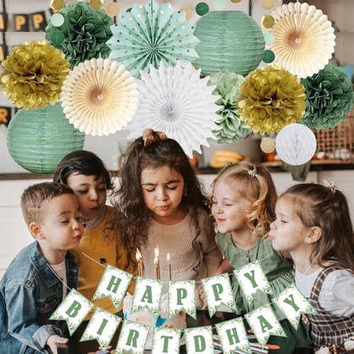 Sage Green Gold Birthday Party Decorations Set