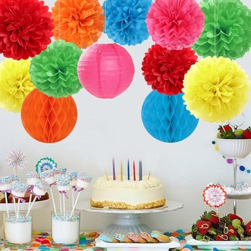 Rainbow Paper Flowers Tissue Pom Poms 15pcs Party Decorations