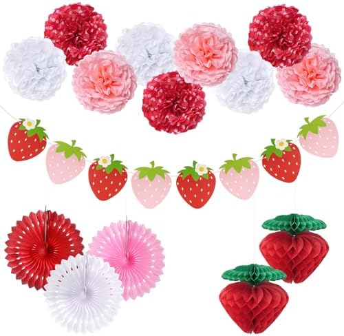 Strawberry Birthday Decorations Pom Poms Fans Honeycomb Balls Garland