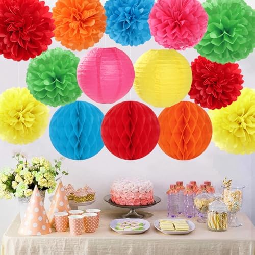 Rainbow Paper Flowers Tissue Pom Poms 15pcs Party Decorations