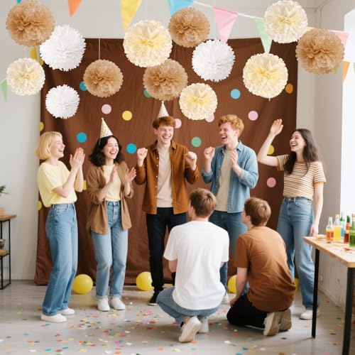 SUNBEAUTY 15 PCS Tissue Paper Boho Pom Poms Flowers Decorations