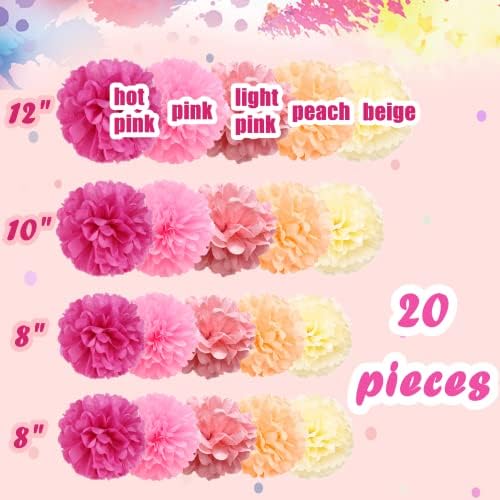 20 Pcs Pink Mix Tissue Pom Poms Party Decor Kit