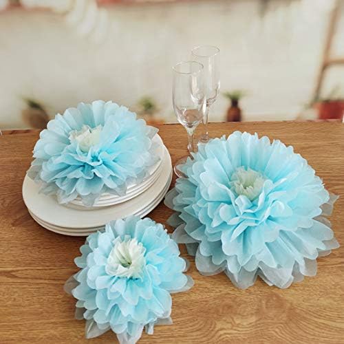 Mybbshower 9pcs Mixed Tissue Paper Pom Poms Decorations
