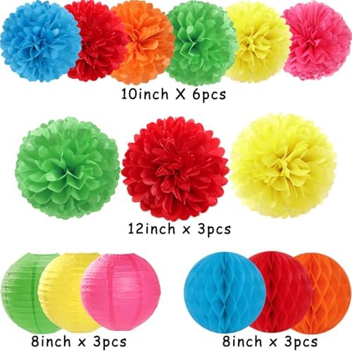 Rainbow Paper Flowers Tissue Pom Poms 15pcs Party Decorations