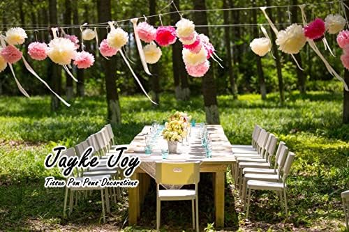 20 Pcs Pink Mix Tissue Pom Poms Party Decor Kit