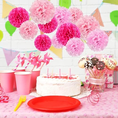 18 PCS Tissue Paper Pom Poms in Pink Set