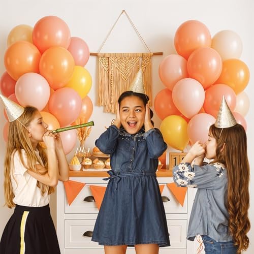 Boho Daisy Balloons 12 Inch Party Decor Set