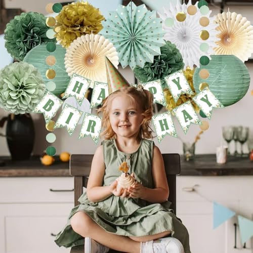 Sage Green Gold Birthday Party Decorations Set