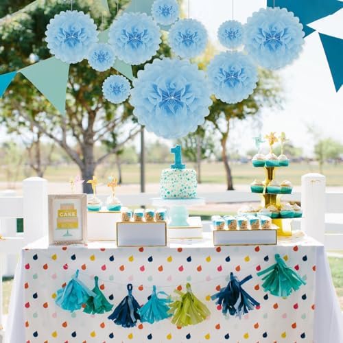 Baby Blue Tissue Paper Pom Poms 20 Piece Set