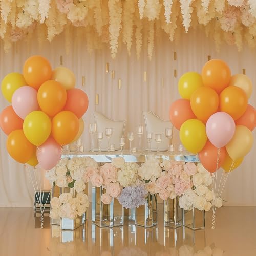 Boho Daisy Balloons 12 Inch Party Decor Set