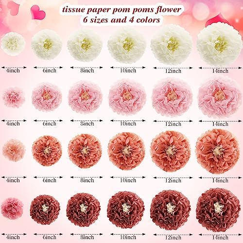 24 Pcs Tissue Paper Pom Poms Flowers Decorations