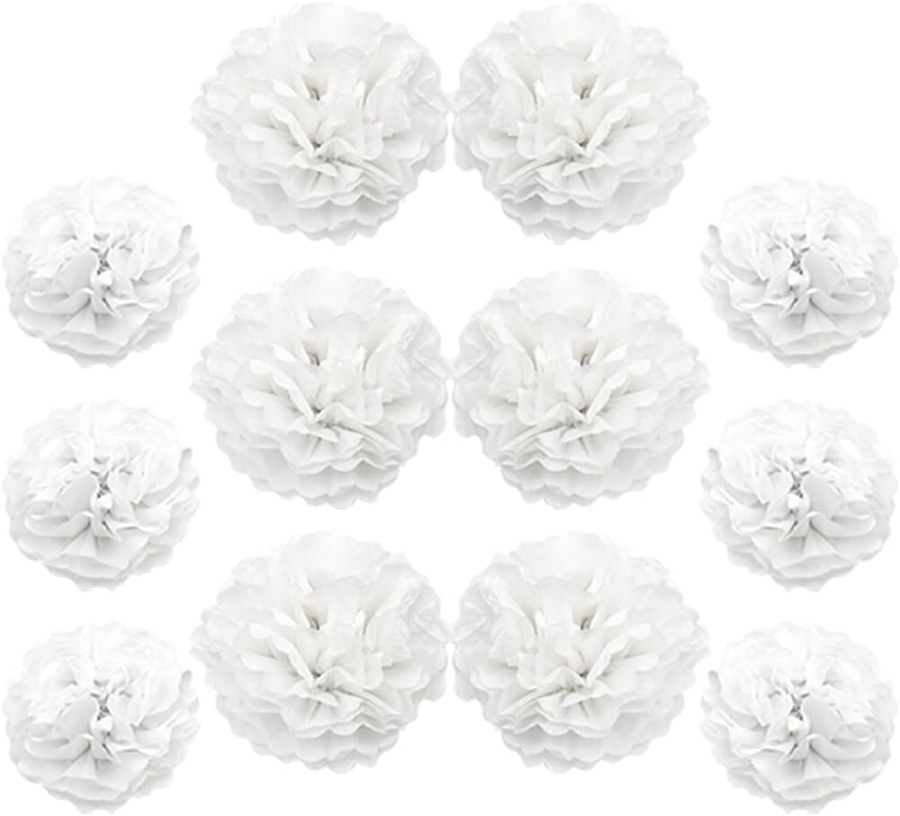 Ruidee 12 Pieces Tissue Pompoms 10in and 12in Hanging Decorations