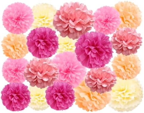 20 Pcs Pink Mix Tissue Pom Poms Party Decor Kit