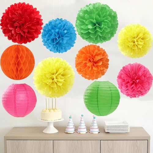 Rainbow Paper Flowers Tissue Pom Poms 15pcs Party Decorations