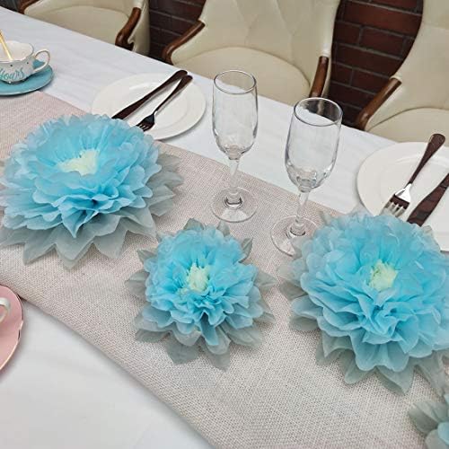Mybbshower 9pcs Mixed Tissue Paper Pom Poms Decorations