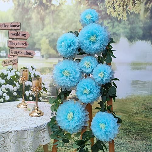 Mybbshower 9pcs Mixed Tissue Paper Pom Poms Decorations