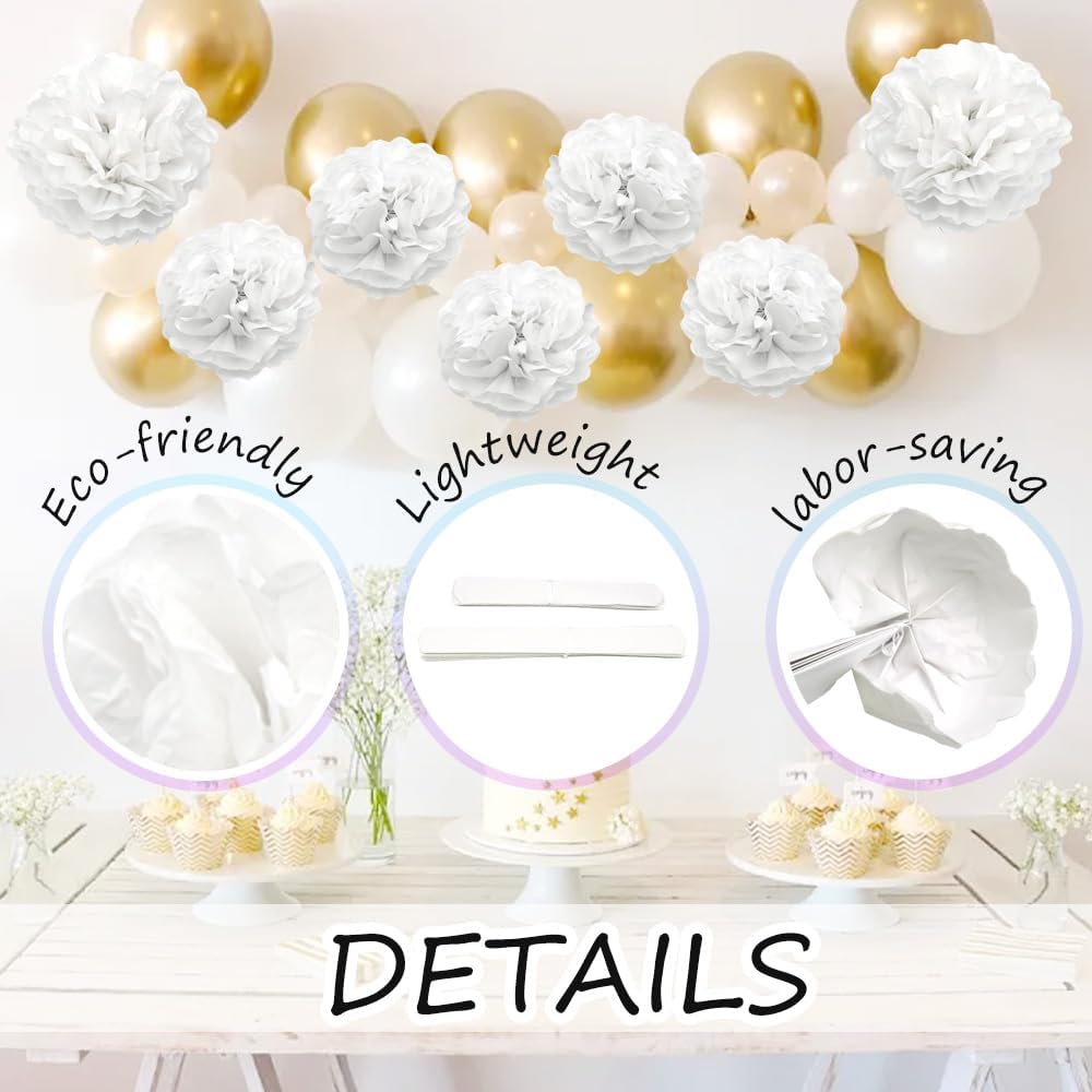 Ruidee 12 Pieces Tissue Pompoms 10in and 12in Hanging Decorations