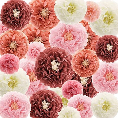 24 Pcs Tissue Paper Pom Poms Flowers Decorations