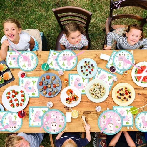 ZOIIWA Llama Birthday Party Pack for 24 Guests