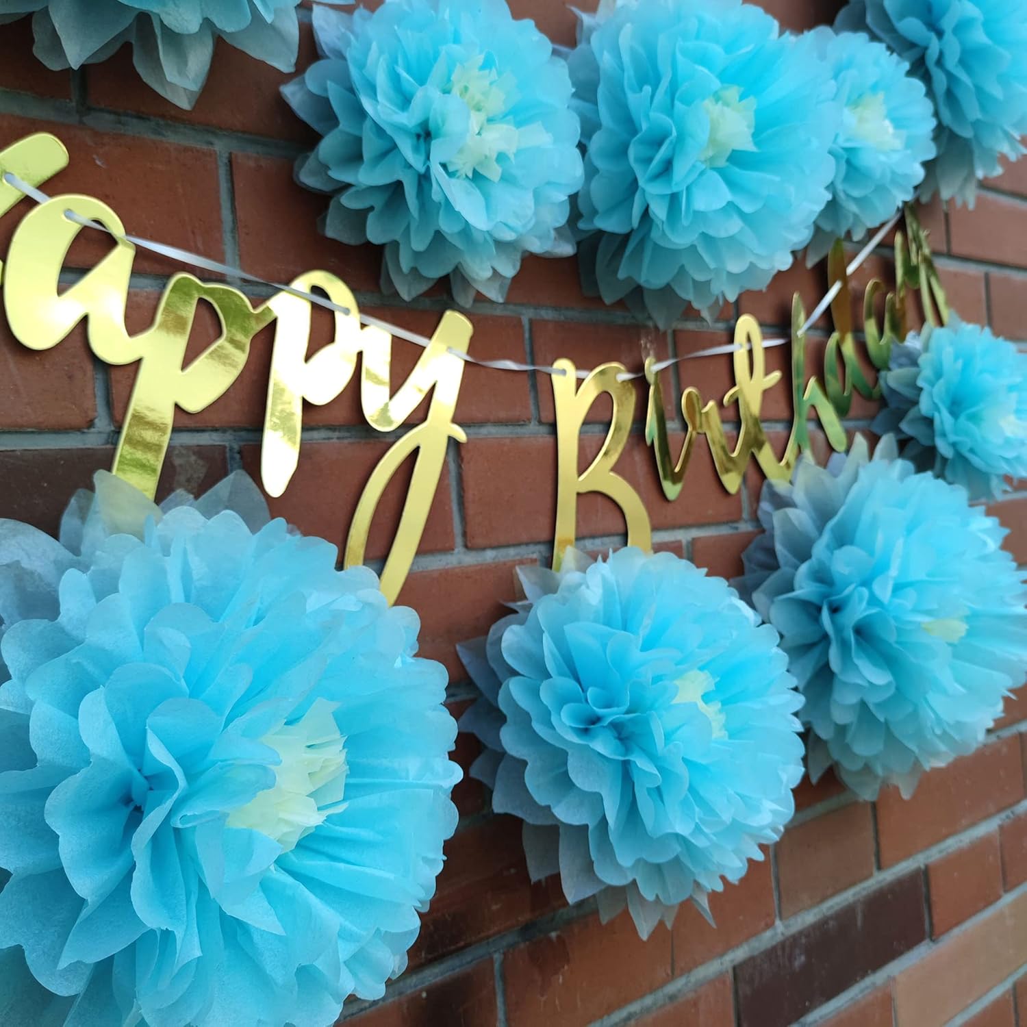 Mybbshower 9pcs Mixed Tissue Paper Pom Poms Decorations